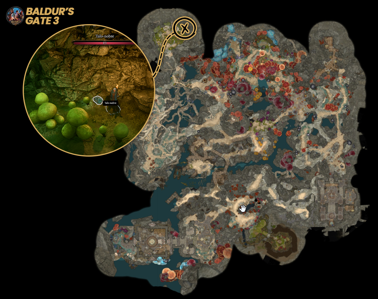 Como-Obter-o-Talo-Nobre-em-Baldurs-Gate-3-1 Encontre o Coletor de Cogumelos e Salve Baelen em BG3!