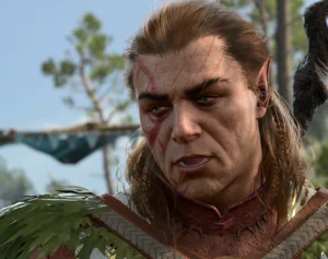 Resgate o Druida Halsin: Guia Completo em BG3
