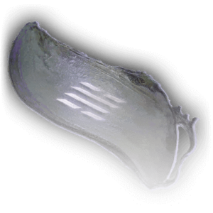 Lousa-Runica Escape the Nautiloid in BG3